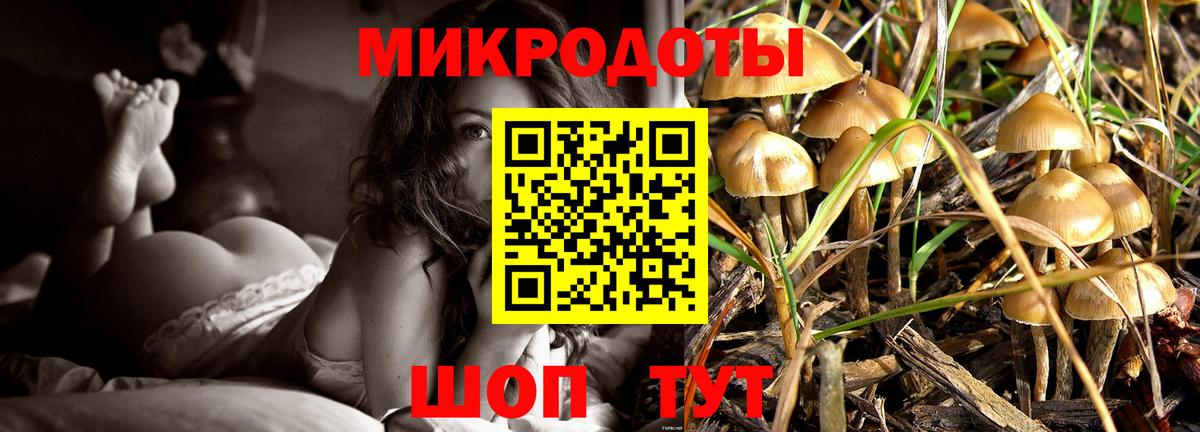 Галлюциногенные грибы мухоморы  где продают   Острогожск  Вход с VPN 